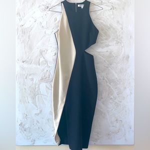 Elizabeth & James Lunai Cutout Dress